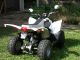 2007 Aeon  Cobra 50 II Motorcycle Quad photo 1