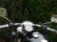 2002 Harley Davidson  Sporty 883 Motorcycle Chopper/Cruiser photo 1