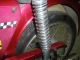 1972 Puch  M 50 SG Motorcycle Motor-assisted Bicycle/Small Moped photo 4