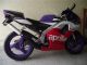 1993 Aprilia  RS50 replica collectible special paint Motorcycle Motor-assisted Bicycle/Small Moped photo 2