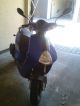 2012 Explorer  Generic Kallio 50 Motorcycle Motor-assisted Bicycle/Small Moped photo 1