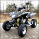Dinli  DINLI 450 ATV 450cc SPORTS DL904 2012 Quad photo