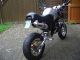 Skyteam  PBR 50/125 2009 Motor-assisted Bicycle/Small Moped photo