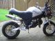 2009 Skyteam  PBR 50/125 Motorcycle Motor-assisted Bicycle/Small Moped photo 2
