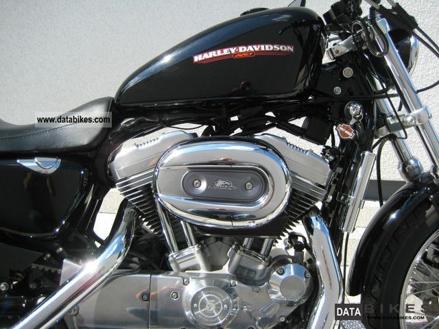 2006 Harley Davidson  883 Low - gefittet beautifully Motorcycle Chopper/Cruiser photo