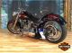 2001 Harley Davidson  ASPT Motorcycle Chopper/Cruiser photo 3