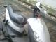 2000 SYM  Moped Motorcycle Scooter photo 1