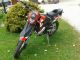 Beeline  SX 50 2012 Motor-assisted Bicycle/Small Moped photo