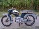 Herkules  220 L 1962 Motor-assisted Bicycle/Small Moped photo