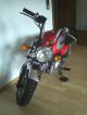 Skyteam  Gorilla 110 2006 Motor-assisted Bicycle/Small Moped photo