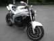 2006 Triumph  Sprint 955 i Cafe Racer Motorcycle Motorcycle photo 2