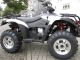 Linhai  LH 420 ATV 4x4 IRS including LoF / winch 2012 Quad photo