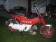 1977 SMC  solo minibike Motorcycle Motor-assisted Bicycle/Small Moped photo 2