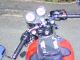 2008 Triumph  Thruxton Motorcycle Naked Bike photo 4