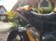 2009 Benelli  TnT Cafe Racer first Hand Motorcycle Naked Bike photo 2