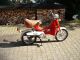 Honda  PX 50 1983 Motor-assisted Bicycle/Small Moped photo