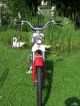 1972 Puch  MS 25 Motorcycle Motor-assisted Bicycle/Small Moped photo 3