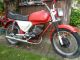 1979 Other  Solo MK 40 + papers! Moped moped Motorcycle Motor-assisted Bicycle/Small Moped photo 3