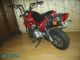 Lifan  LF70GY-2 Monkey Racer 2003 Lightweight Motorcycle/Motorbike photo