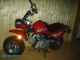 2003 Lifan  LF70GY-2 Monkey Racer Motorcycle Lightweight Motorcycle/Motorbike photo 1