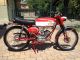 Moto Morini  moto morini corsarino 1967 1967 Motor-assisted Bicycle/Small Moped photo