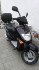 Pegasus  LX 50 2010 Motor-assisted Bicycle/Small Moped photo