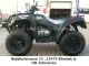 2011 Herkules  Adly 320 Canyon 12 Motorcycle Quad photo 2