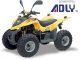 Adly  ATV 50 VG 2012 Quad photo