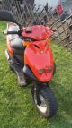 PGO  View Disign 50 cc Evil 1996 Scooter photo