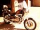 1999 Moto Guzzi  Nevada Club 750 Motorcycle Motorcycle photo 3