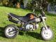 Skyteam  PBR 50 2010 Motor-assisted Bicycle/Small Moped photo