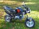 Skyteam  St 50 PBR 2011 Motor-assisted Bicycle/Small Moped photo