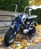 1971 Benelli  Mini Bike 1 Motorcycle Motor-assisted Bicycle/Small Moped photo 2