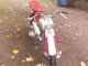 1959 Herkules  Miele Motorcycle Motor-assisted Bicycle/Small Moped photo 3