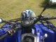 2009 Adly  Her Chee 280 Motorcycle Quad photo 2