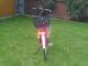2012 Hercules  E-bike Limited Edition Motorcycle Motor-assisted Bicycle/Small Moped photo 3