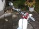 1958 Zundapp  Zündapp Combinette Motorcycle Motor-assisted Bicycle/Small Moped photo 3