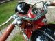 1955 Laverda  100/4 speed / classic / only 73 Km Motorcycle Motorcycle photo 8