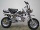 Skyteam  Monkey Lemans Club 125 cc New 2012 Lightweight Motorcycle/Motorbike photo