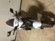 2012 Honda  Hornet 600 with ABS Motorcycle Naked Bike photo 1