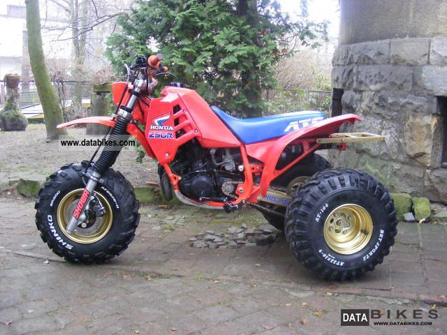 Vintage DG Style Decal Sticker - Fits ATC, TRX, LT, 250R, 350X, 200X, KXT, CR, KX, RM