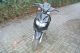 2003 CPI  JP-25 Motorcycle Motor-assisted Bicycle/Small Moped photo 1