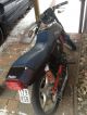 1986 Puch  Imola N 50 Motorcycle Motor-assisted Bicycle/Small Moped photo 1
