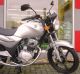 2010 SYM  XS 125 Motorcycle Motorcycle photo 8