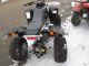 2010 SMC  300 L including delivery Motorcycle Quad photo 4