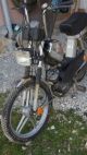 1983 Kreidler  Flory 3Speed Motorcycle Motor-assisted Bicycle/Small Moped photo 2