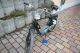 1977 Piaggio  CIAO Motorcycle Motor-assisted Bicycle/Small Moped photo 4