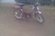 1976 Herkules  prima 5 Motorcycle Motor-assisted Bicycle/Small Moped photo 2