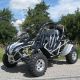 2013 Other  BUGGY DONGFANG DF600GKD 600cc EFI Motorcycle Quad photo 2