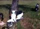 1983 Puch  Lido SE Motorcycle Motor-assisted Bicycle/Small Moped photo 3